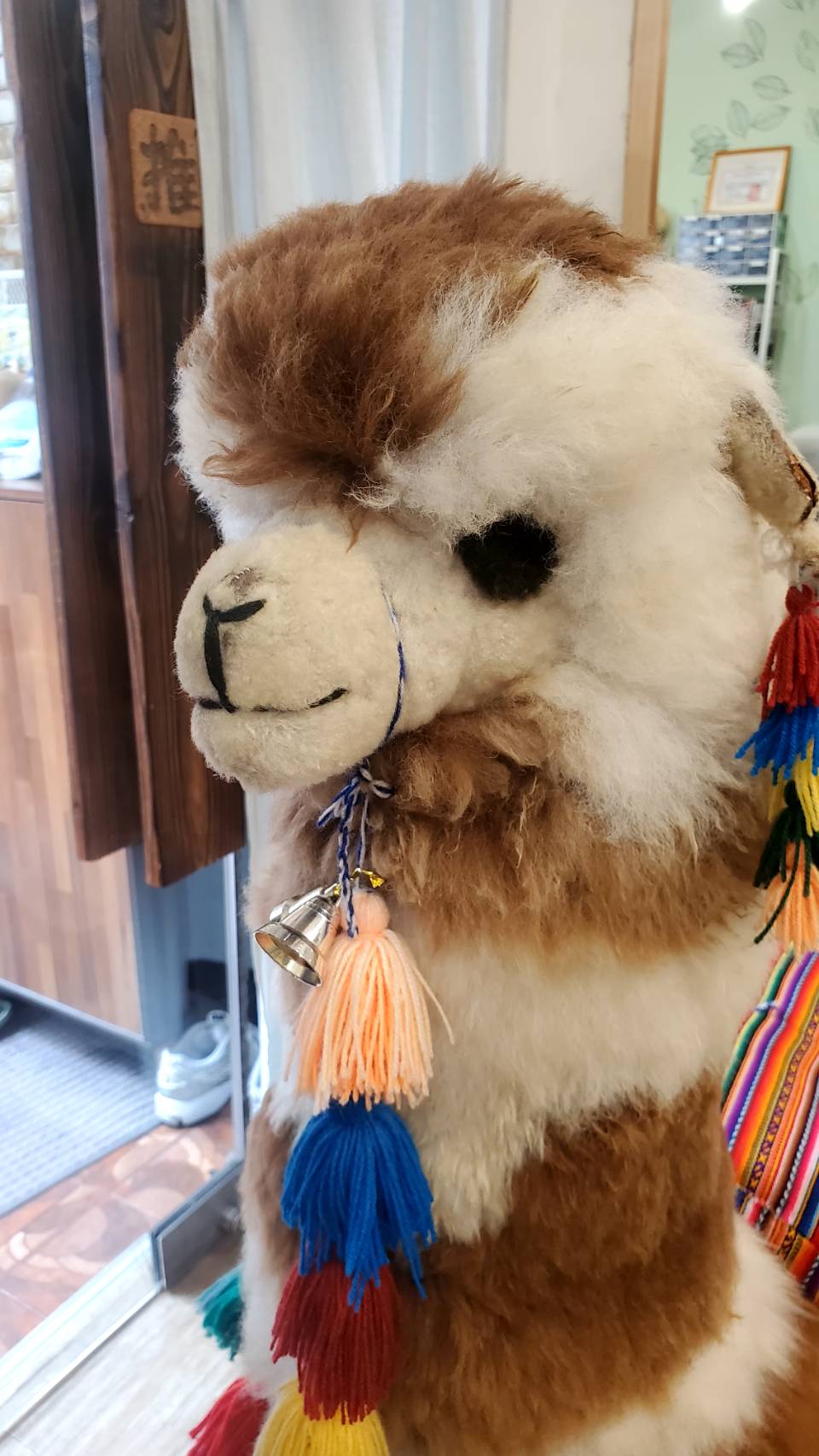 從38家知名咖啡品牌中，脫穎而出的冠軍咖啡豆，不香嗎？阿羊被帶回來的那一天，一切都注定要開始。