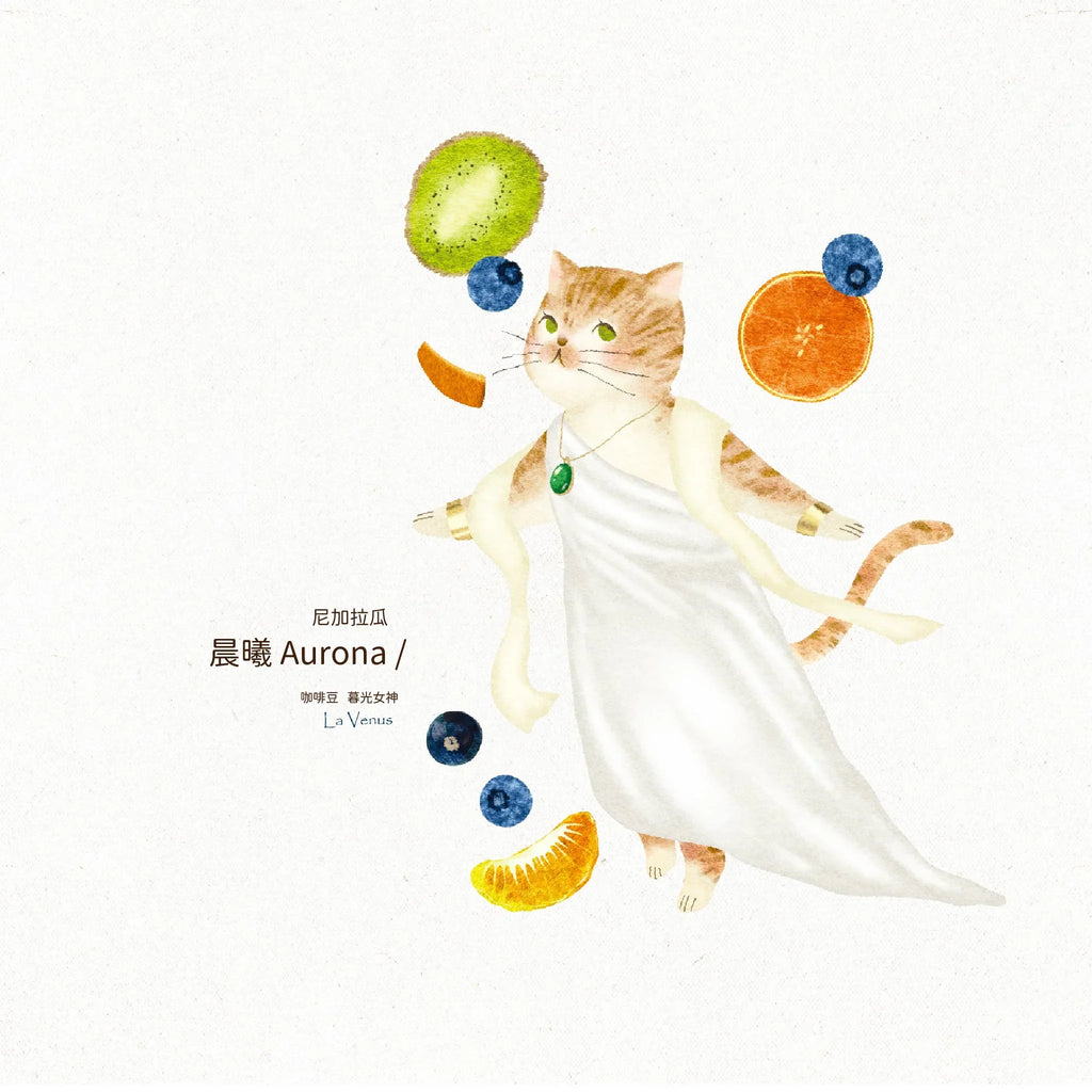 9款 ❚ Yes！My Cat Majesty！❚ 自烘焙咖啡豆 雙包組合