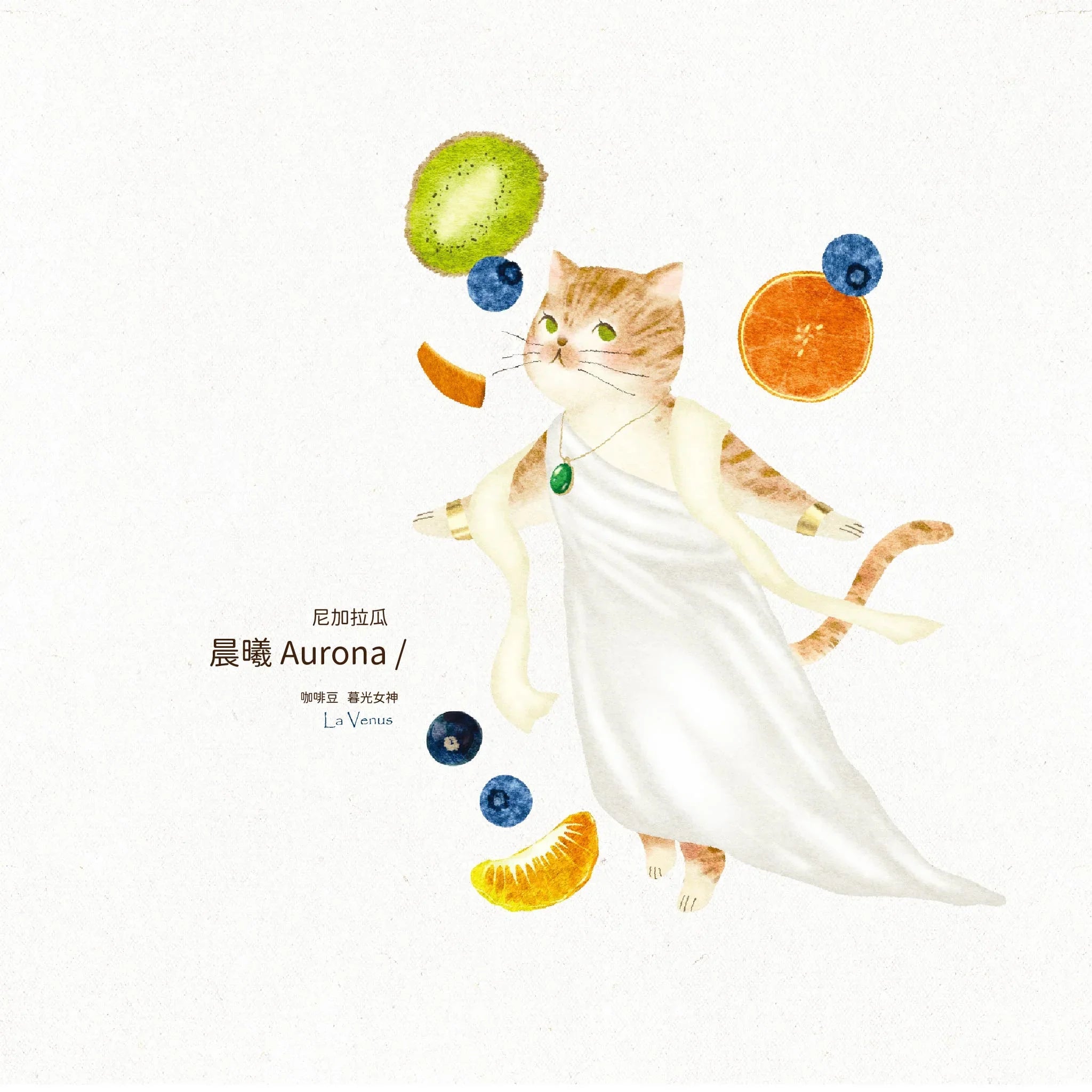 9款 ❚ Yes！My Cat Majesty！❚ 自烘焙咖啡豆 雙包組合