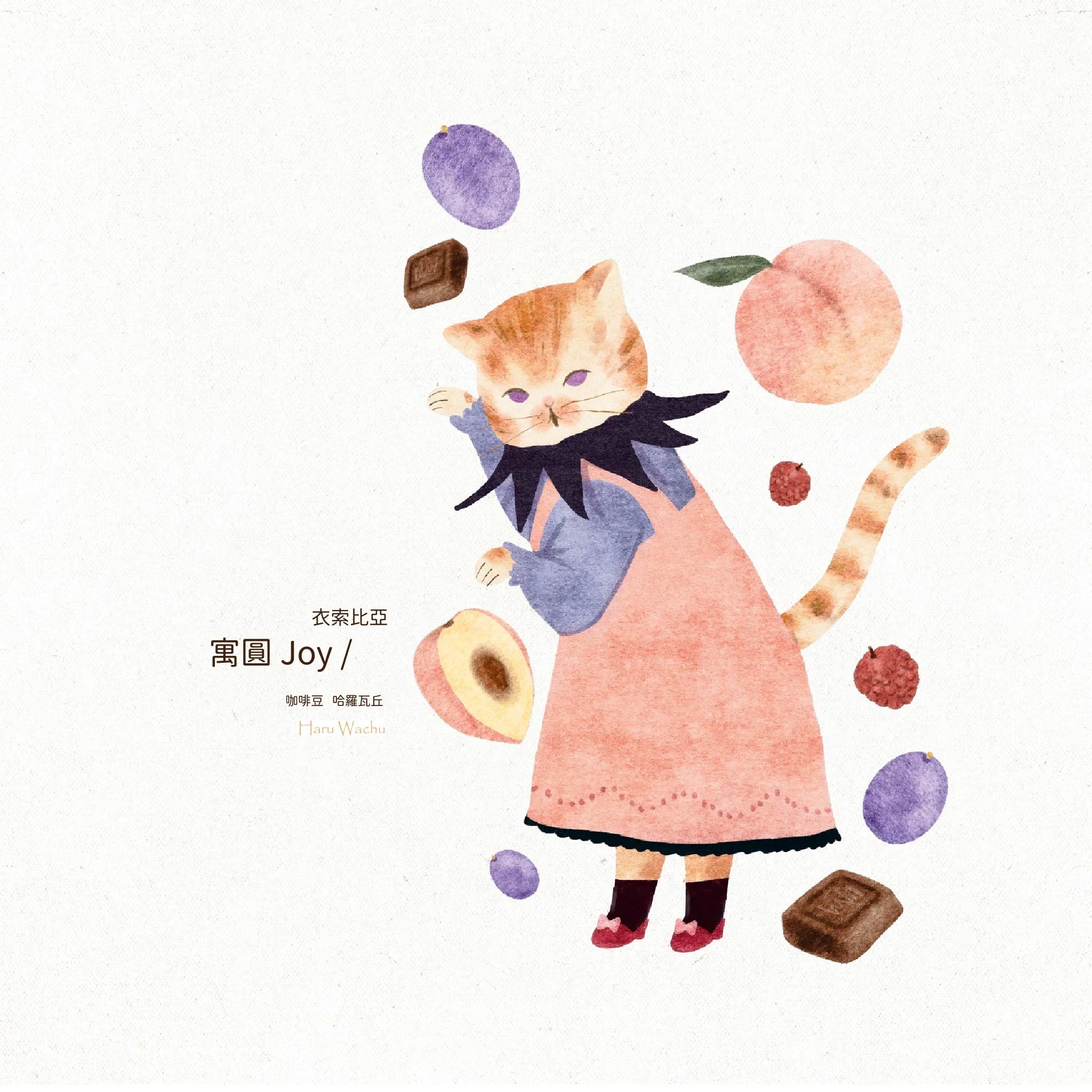 9款 ❚ Yes！My Cat Majesty！❚ 自烘焙咖啡豆 雙包組合