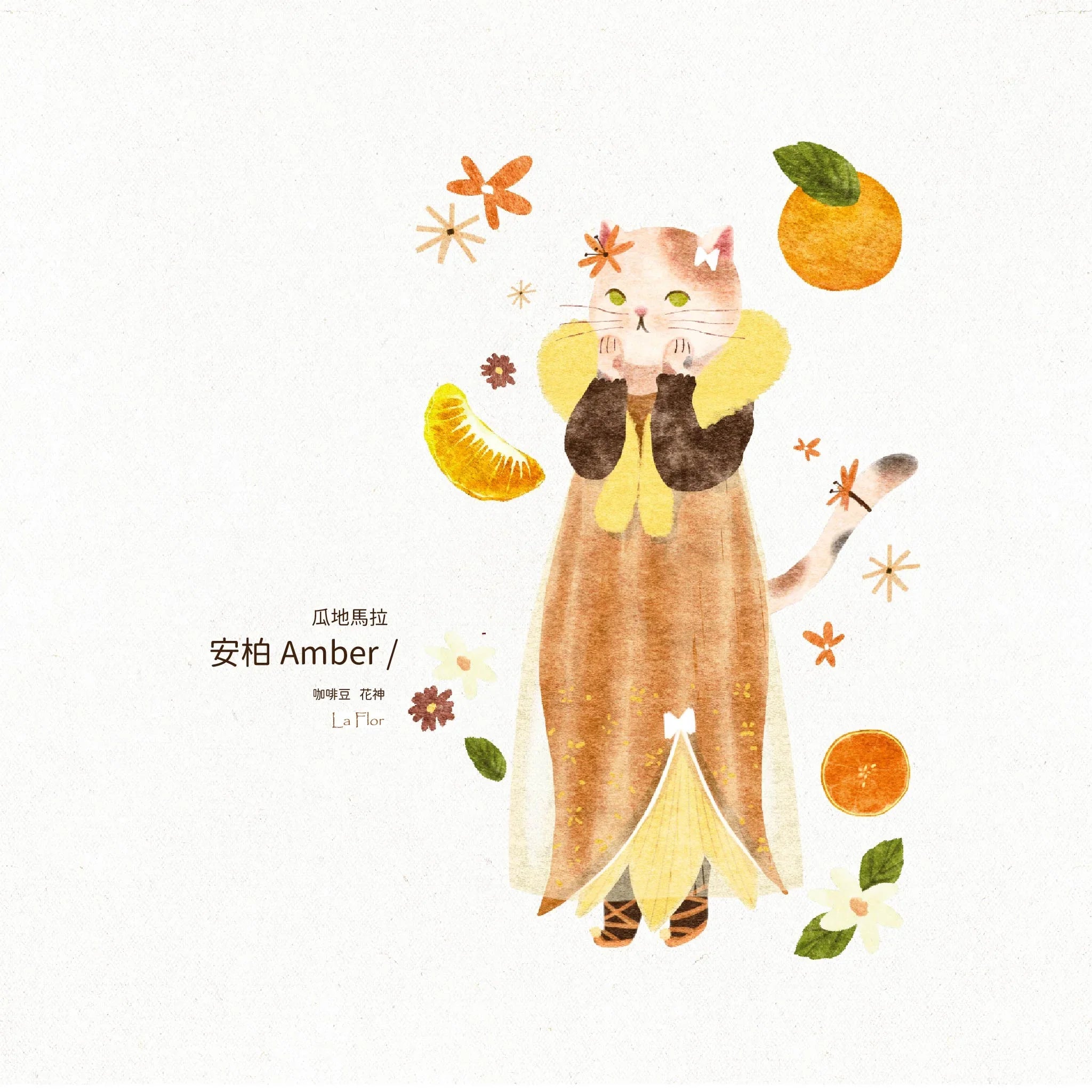 9款 ❚ Yes！My Cat Majesty！❚ 自烘焙咖啡豆 雙包組合
