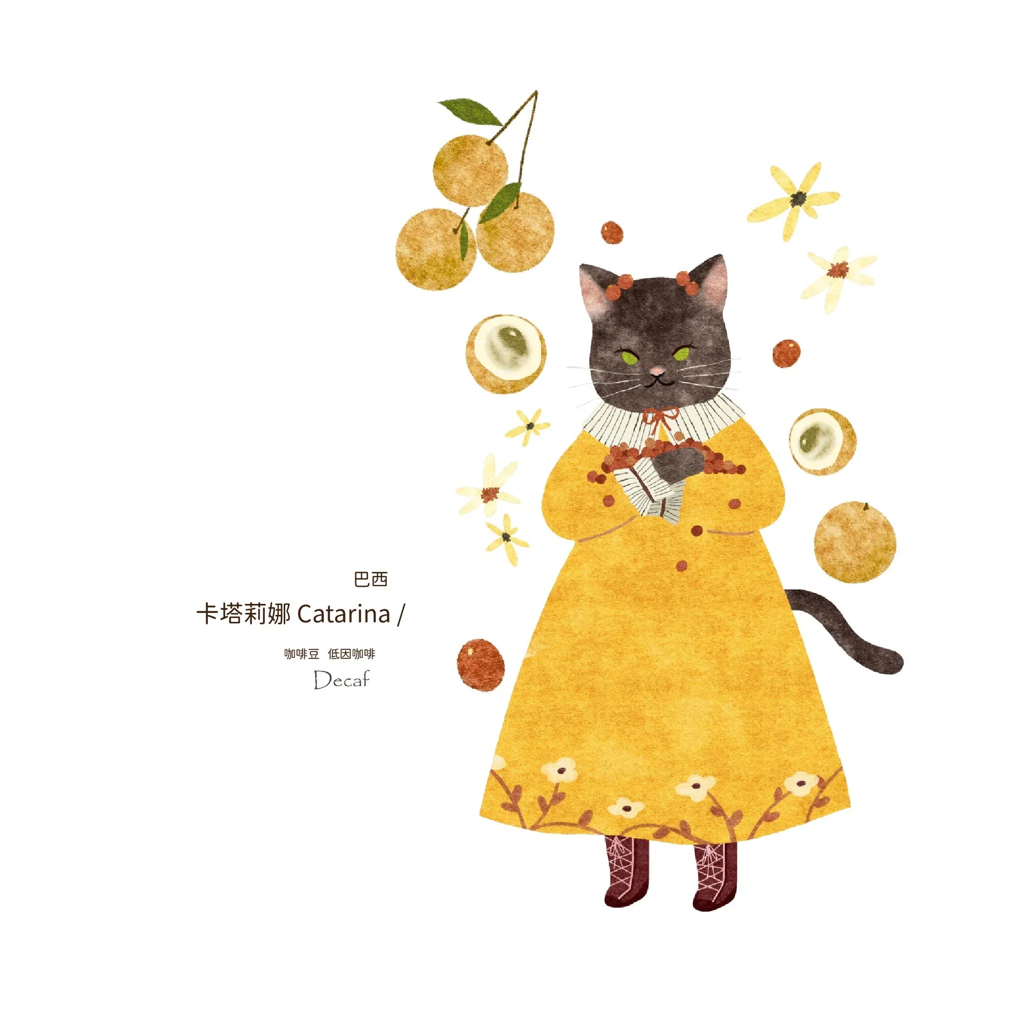 9款 ❚ Yes！My Cat Majesty！❚ 自烘焙咖啡豆 雙包組合